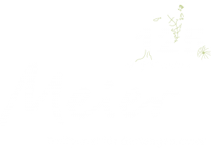 125 Jahre Meier